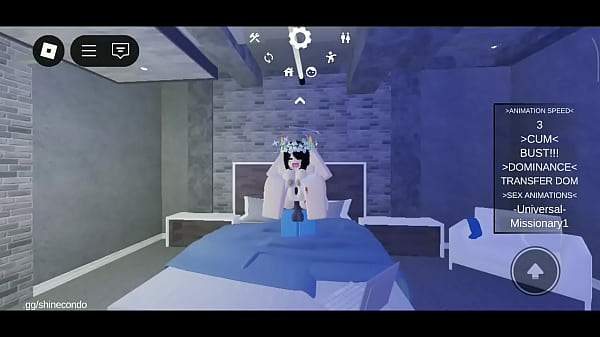 検証ビデオ