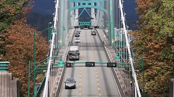 Bridge Activity-HD