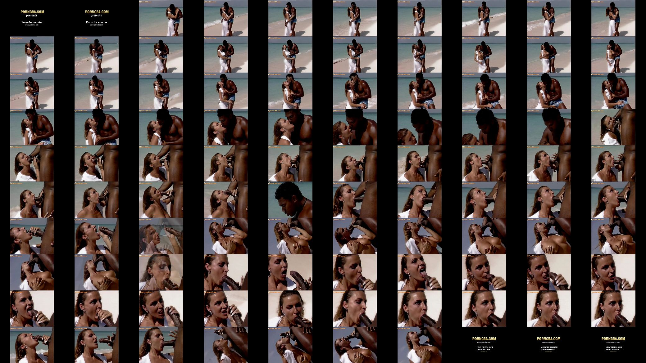 Romantic fuck on the beache 预览图