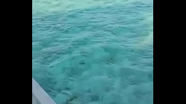 Bon début de semaine, amusez vous, profitez de la vie