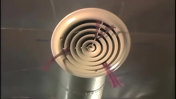 Young girlfriend gets black cock in her pussy