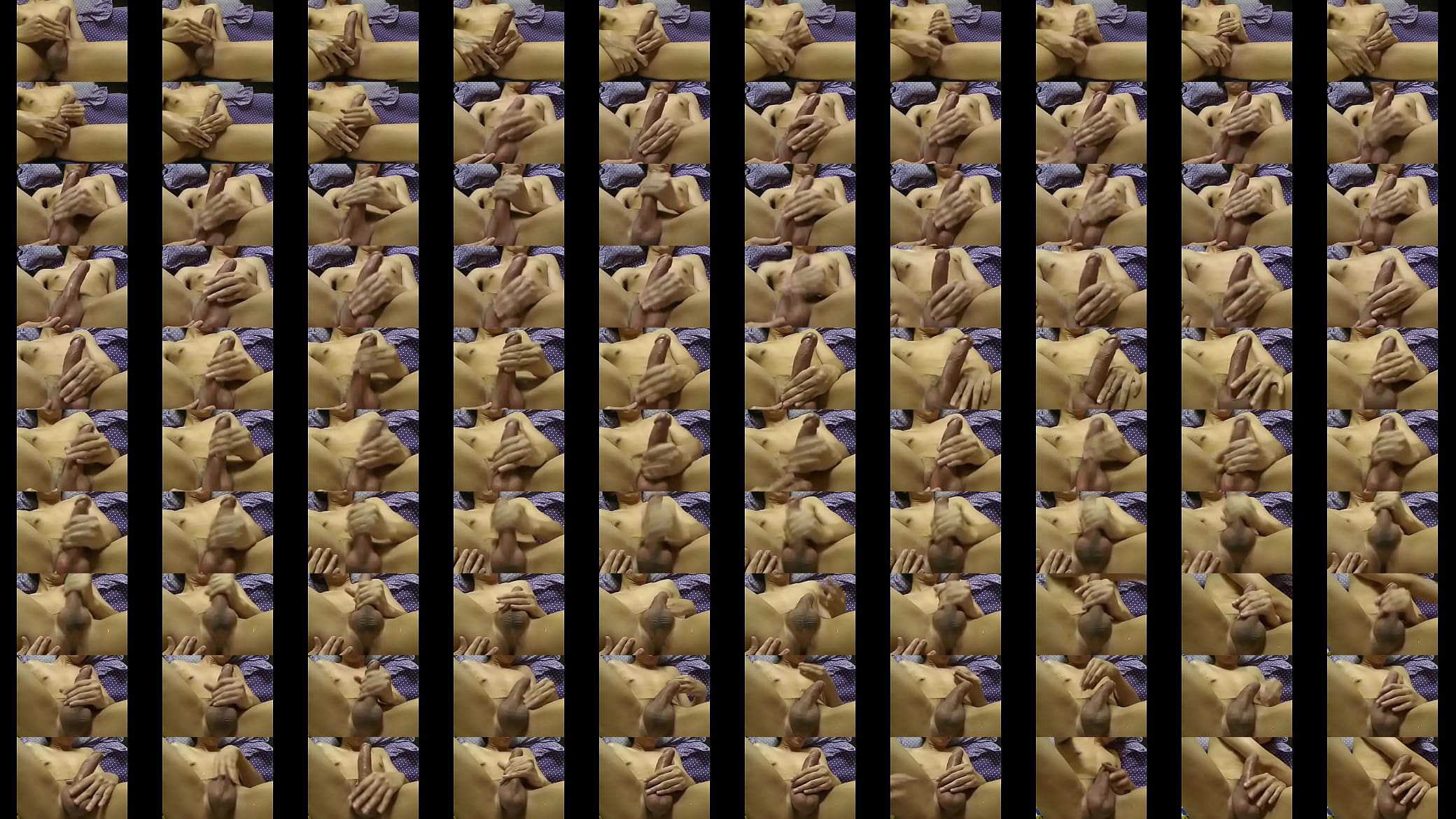 showcam 预览图
