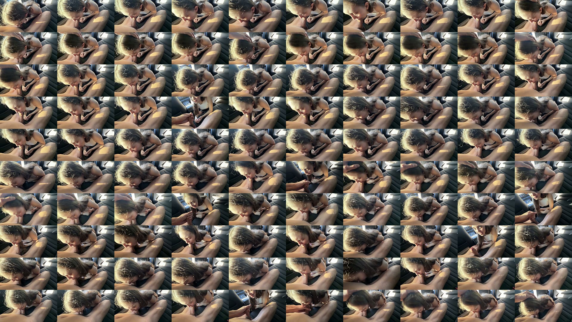 Office Secretary Blowjob in the Car 预览图