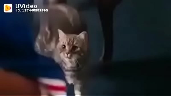 Verification video 24 sec