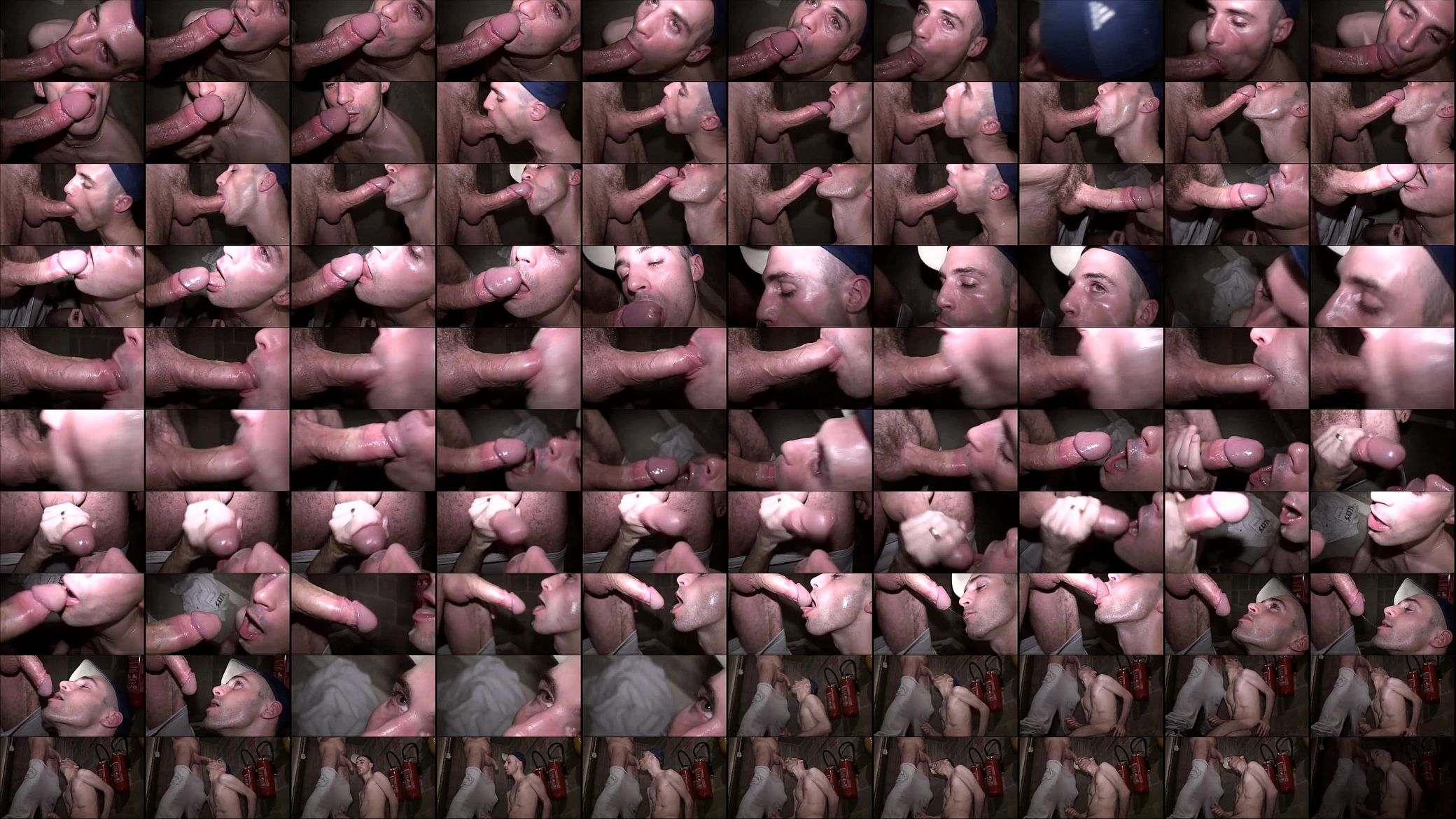 the best blowjob ever 预览图