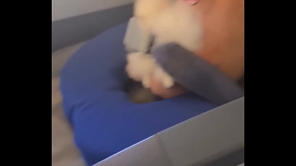 Sucking dick on the plane  Watch it on  bolivianamimi.tv