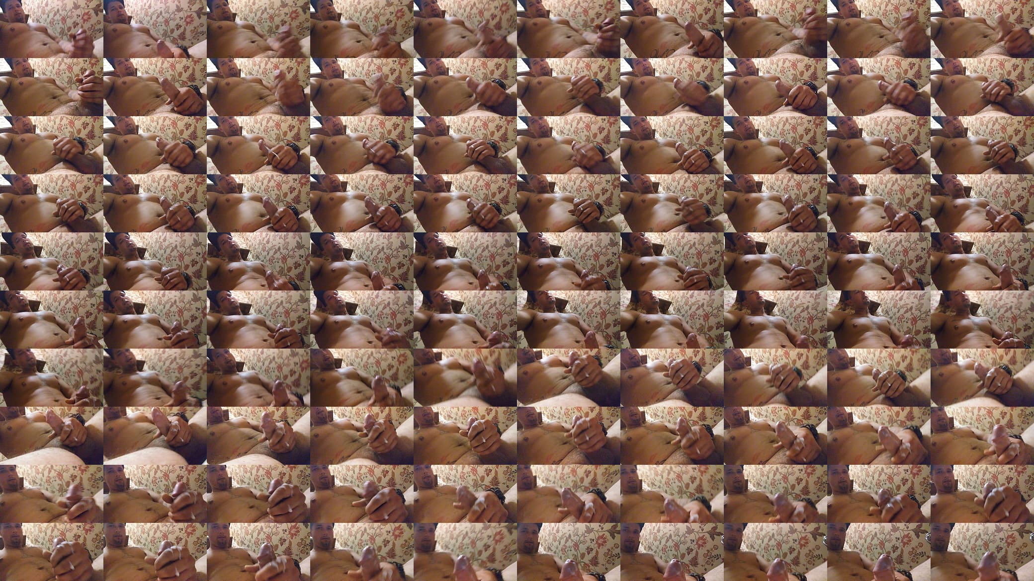 Luckychance1 Nut 预览图
