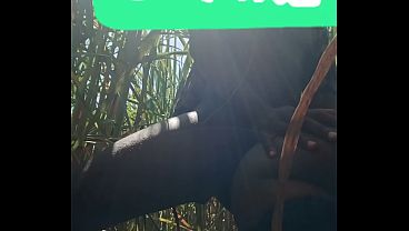 MY WIFE DESTROYED IN THE JUNGLE PART 5