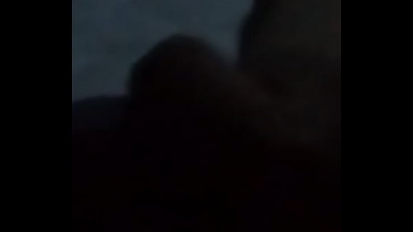 Despertando el ganso