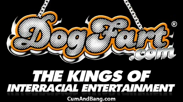 Ebony Entertains a Group of Whites 17