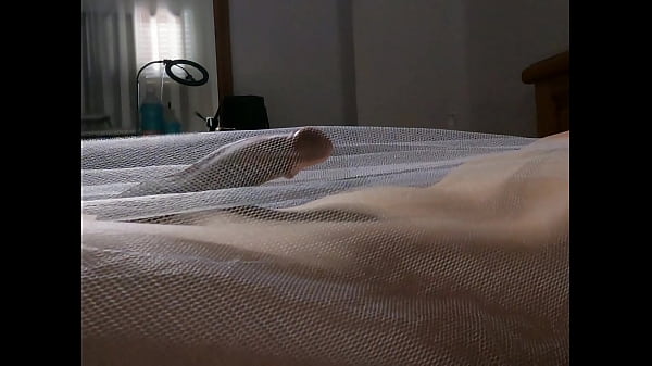 Download Video - I bought some transparent sheets so you can enjoy my wet dream