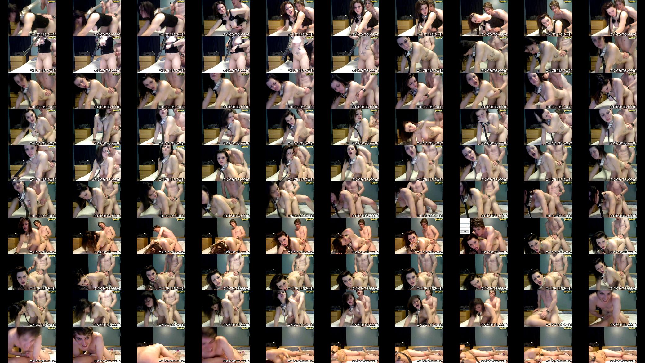live sex web cam 预览图