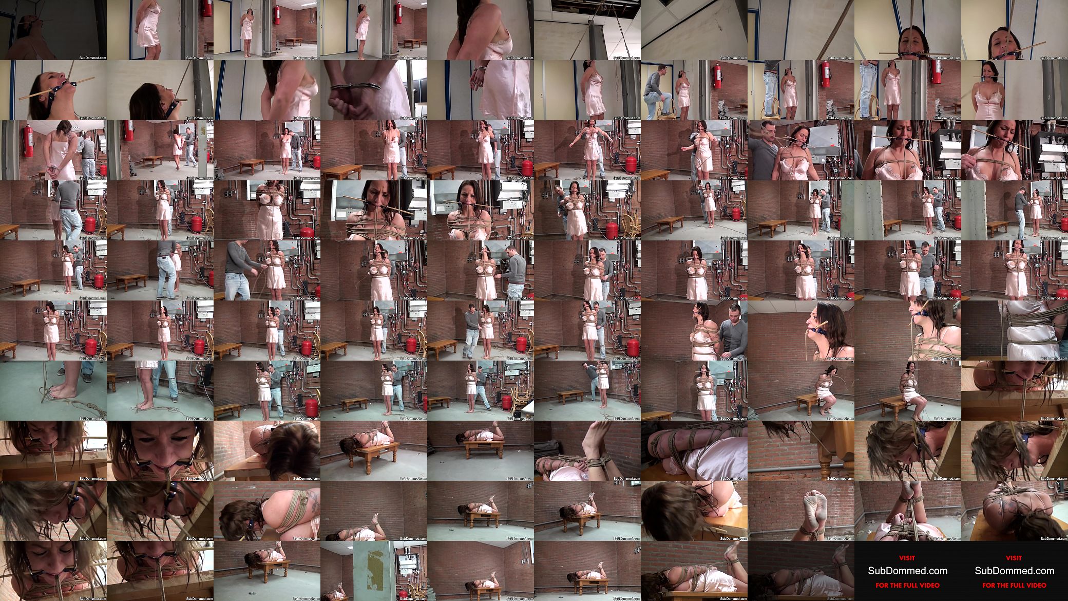 Gagged milf humiliated by euro maledom 预览图