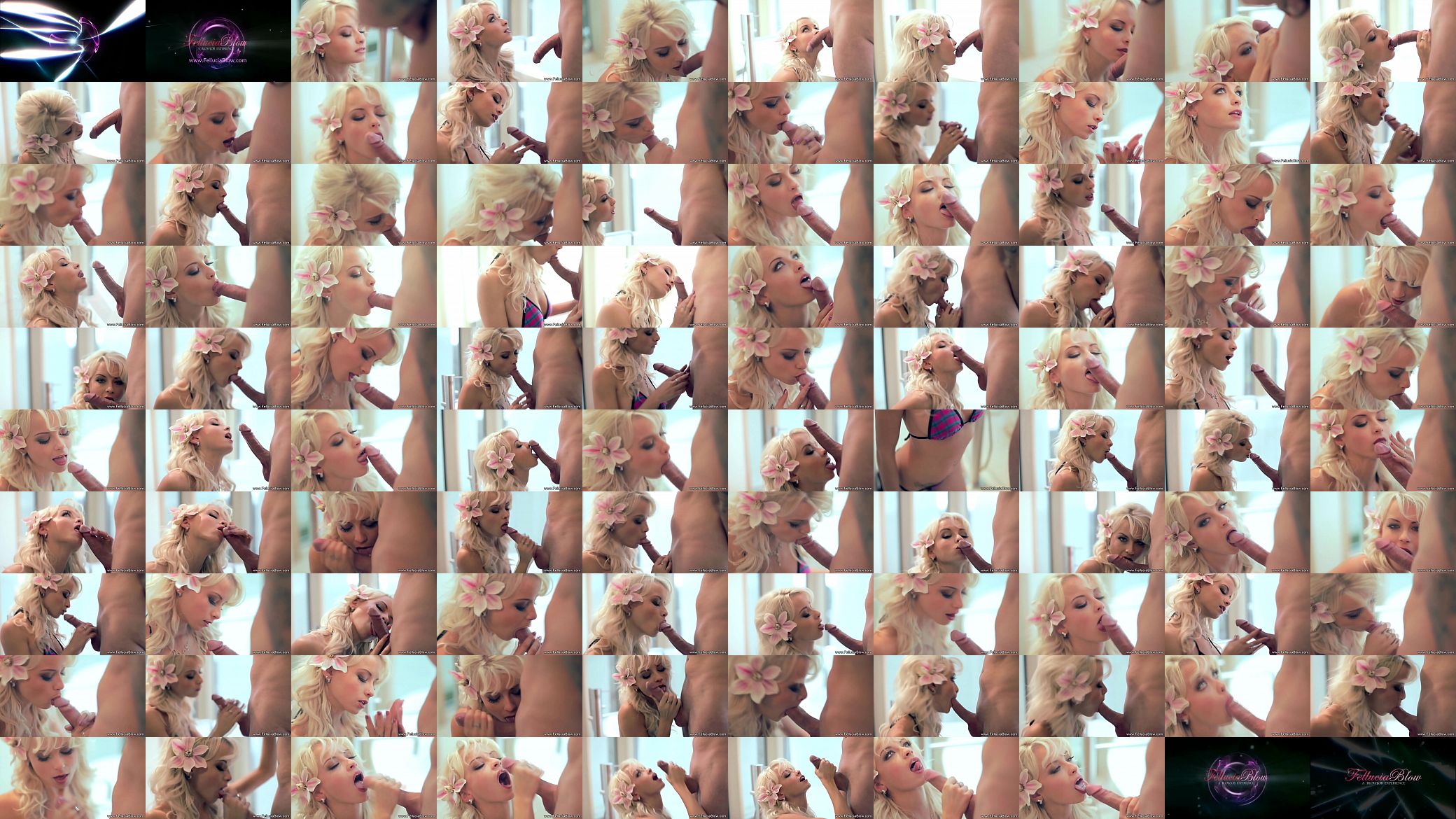 Erotic And Romantic Blowjob Babe 预览图