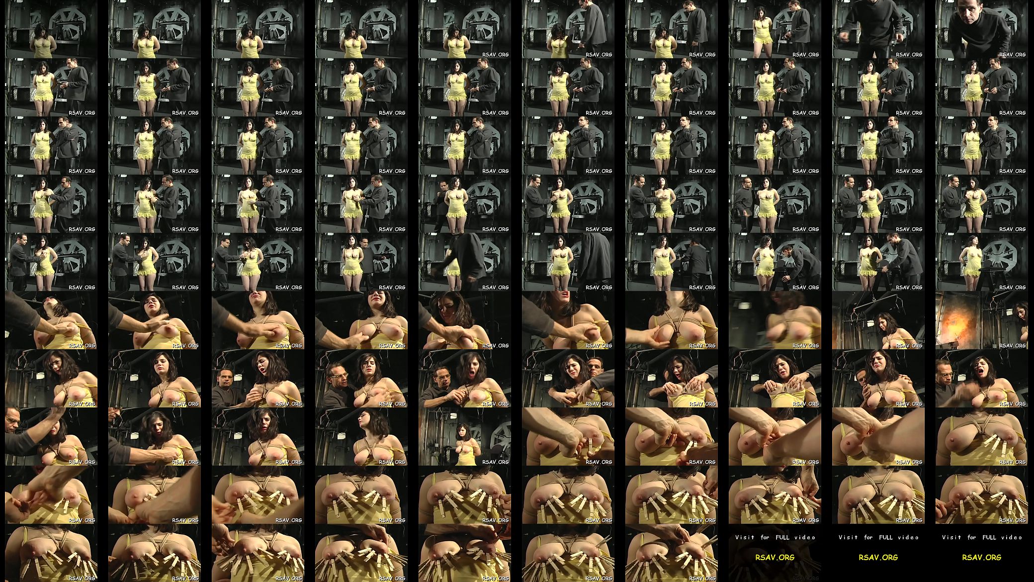 Sexy and enormous bdsm action 预览图