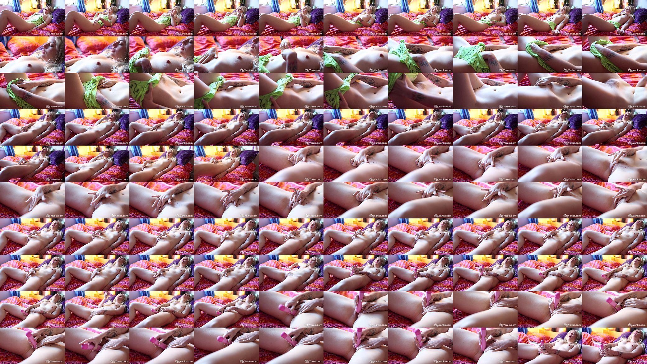 Tattooed Jamie Toying Her Cunt 预览图
