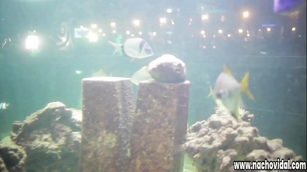 Download Video - In an elegant strip club&comma; the Spanish Alexa Tomas meets Nacho Vidal&period; They kiss in public&comma; they undress and he eats her pussy in front of all the attendees