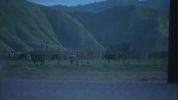 Carmen Luvana needed to know