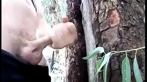 GAY ON FOREST SCOOPORN