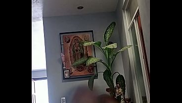 Mexicodick1 - update #24 - 2162 - Jul 31, 2026