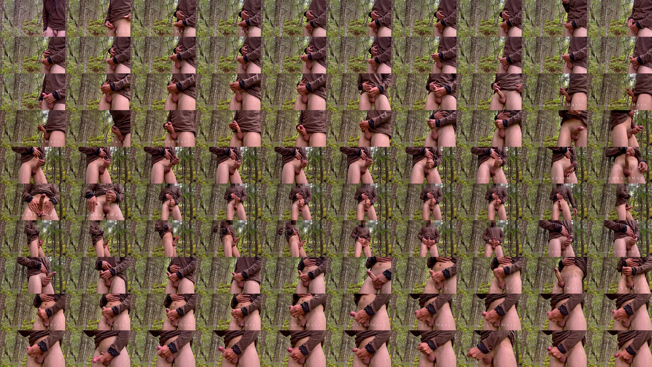 CumshotMarc - intense Orgasm in the woods HUGE Cumshot Big Cock 预览图