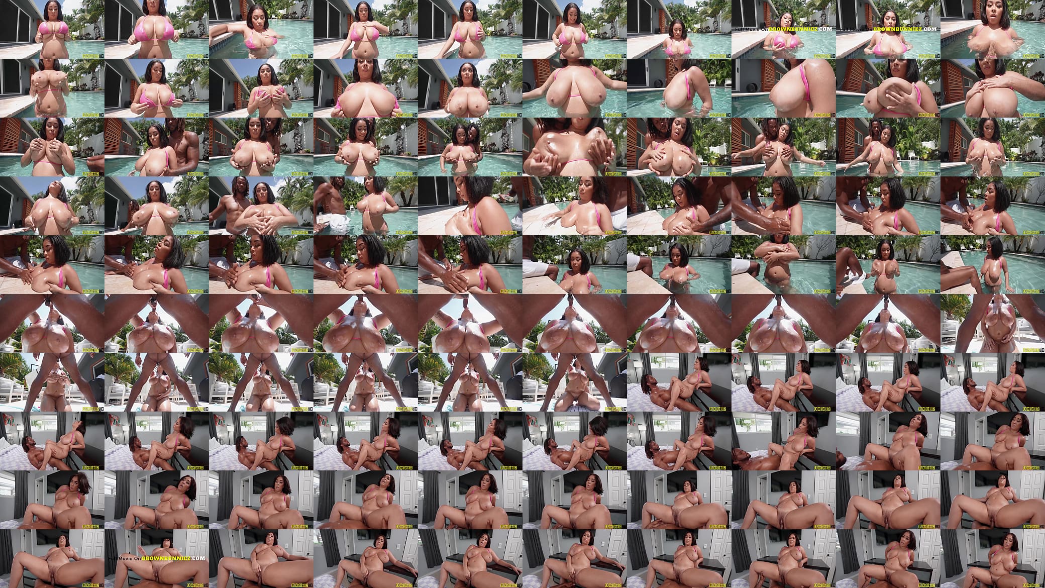 Brown Bunny Juliana Dreams Giant Boobs in The Pool 预览图