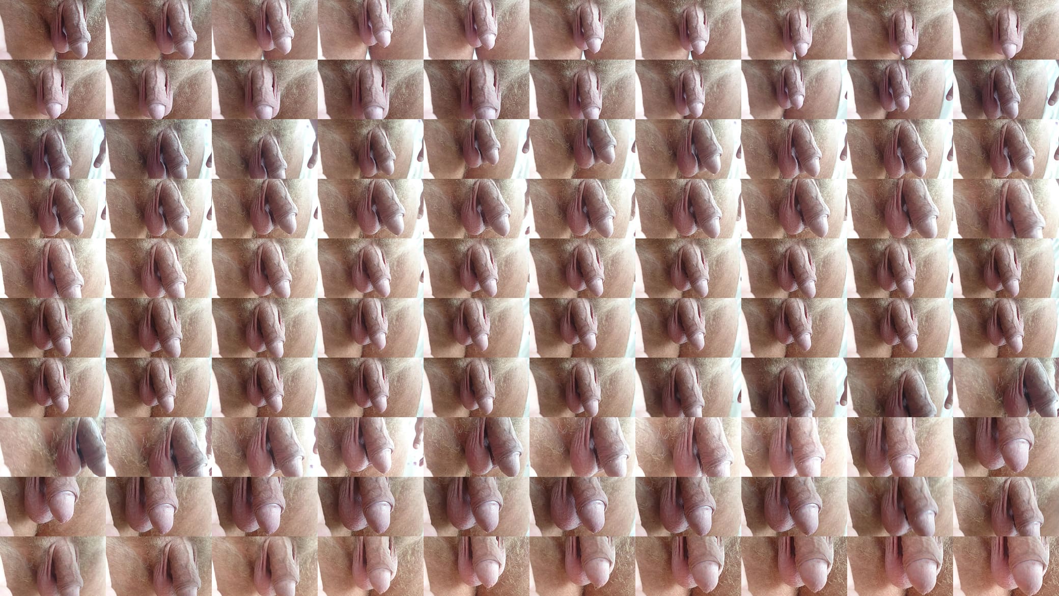 My relaxed cock 预览图