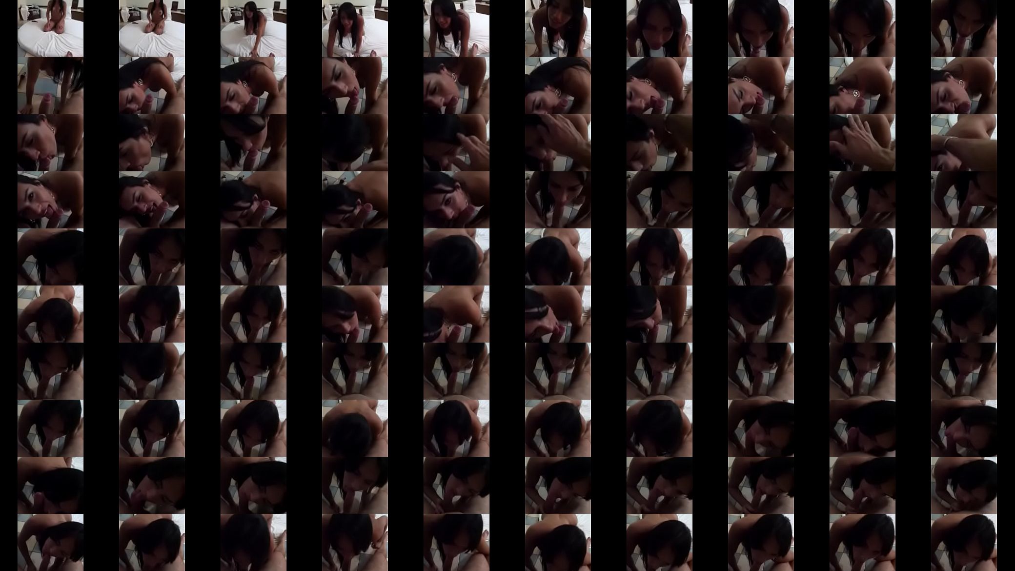 AntonlaTrans-Oral2 预览图