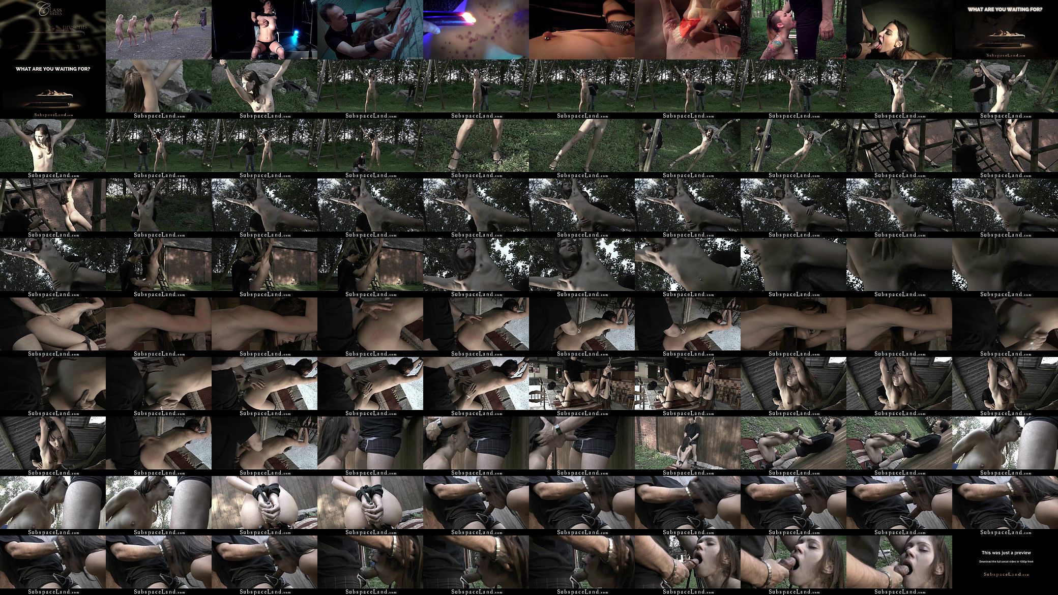 Teen bondage anal fucked obedient deepthroat sucking cock 预览图