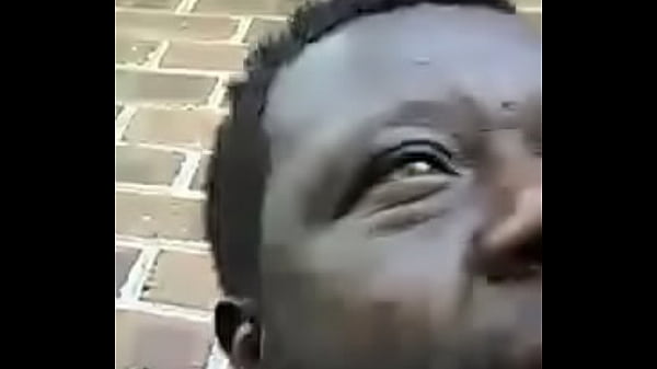 Download Video - Verification video