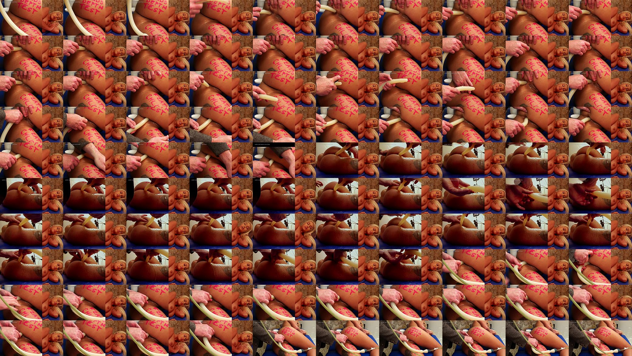 Chloe Colon Snake Enema Depth Test Part 1 预览图