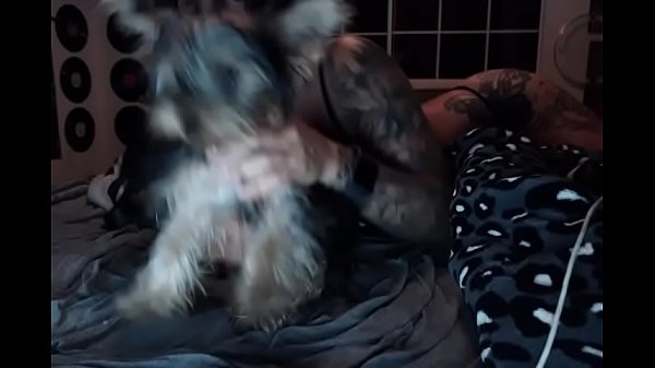 felicity feline webcam dancing suicideboys
