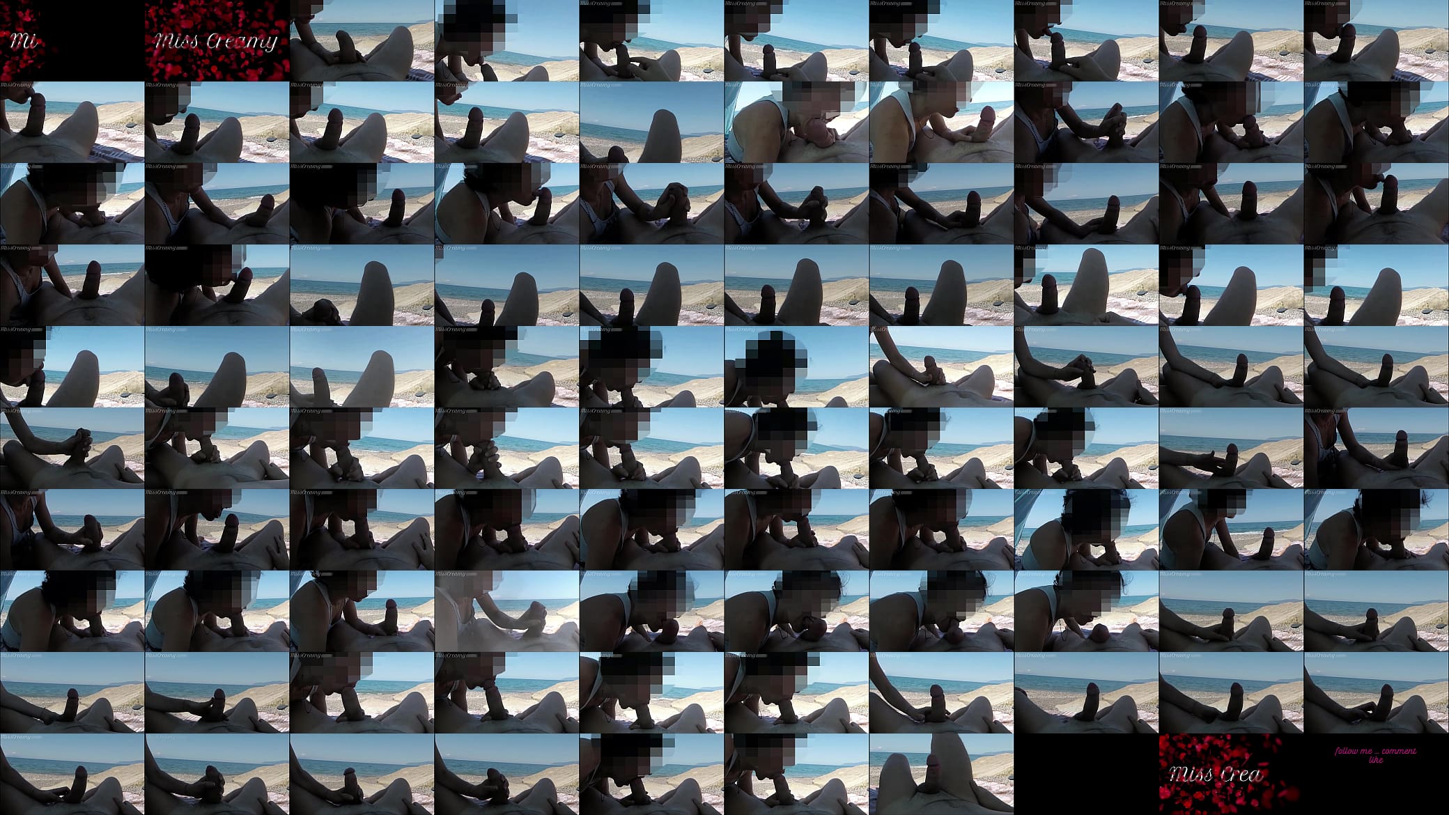 Girl sucks cock in public beach and gets caught by stranger - MissCreamy 预览图