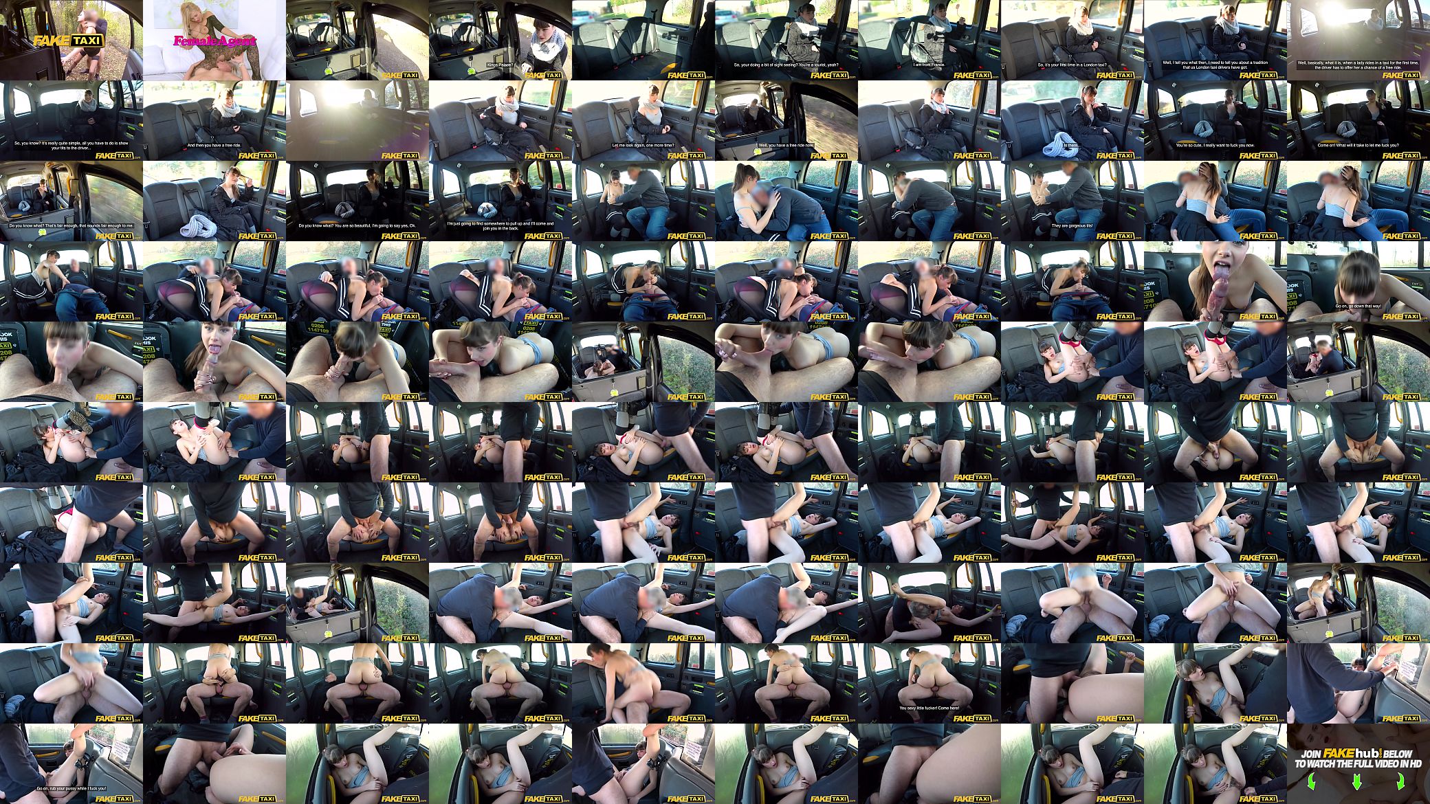 Fake Taxi Hairy wet French tight pussy penetrated by big cock 预览图