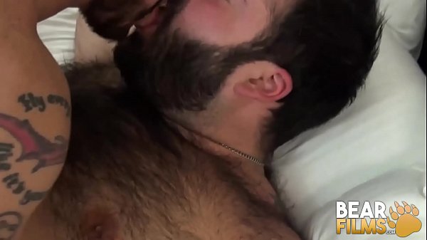 Download Video - BEARFILMS Inked Bear Fingers And Pounds Hairy Enzo Ferrari