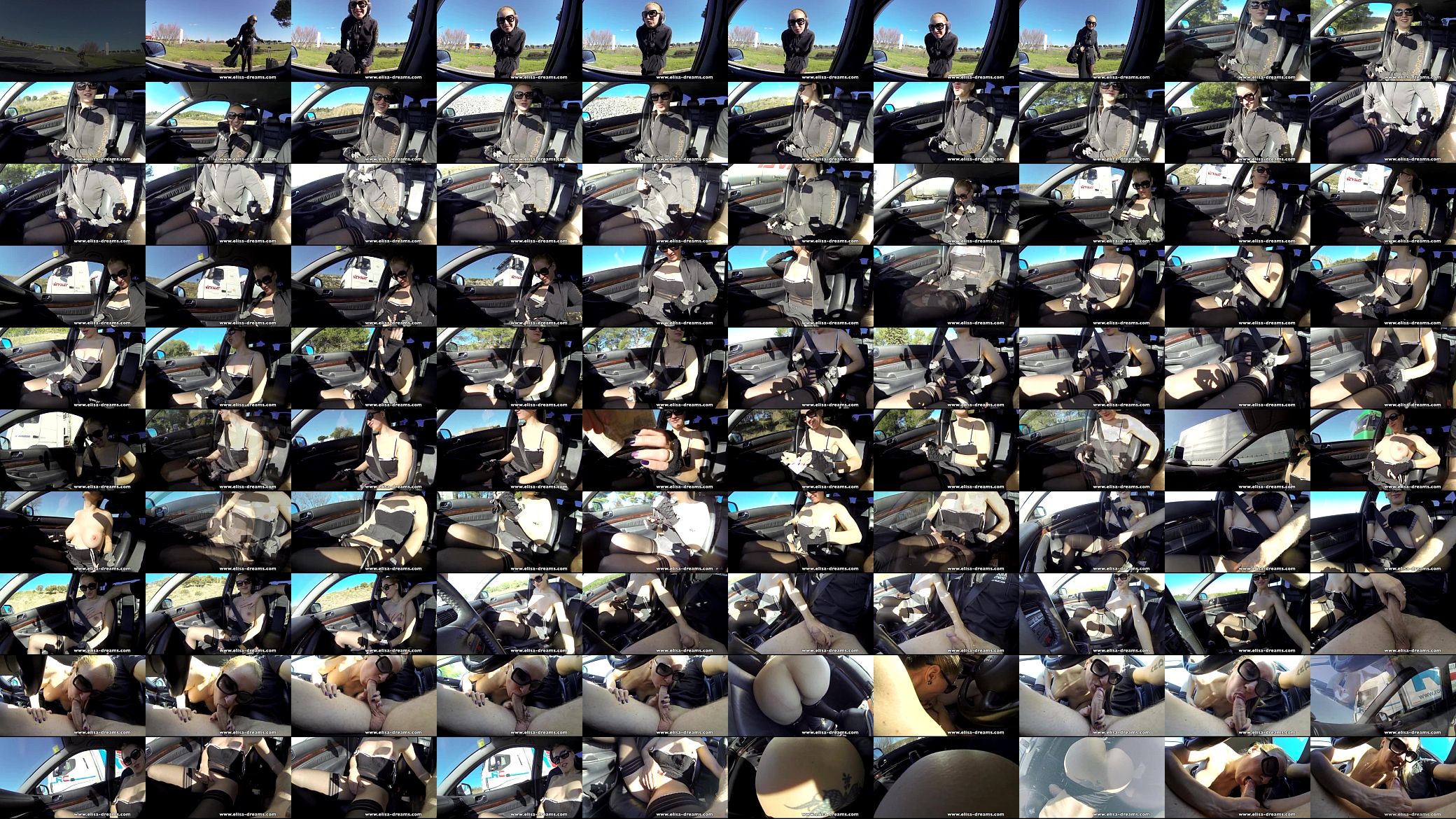 Flashing and sucking a cock in a car 预览图
