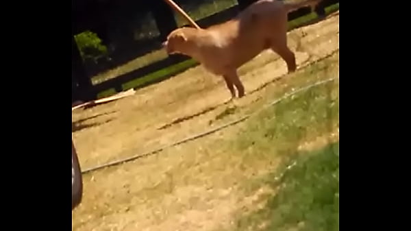 Frida se divertindo com lipe