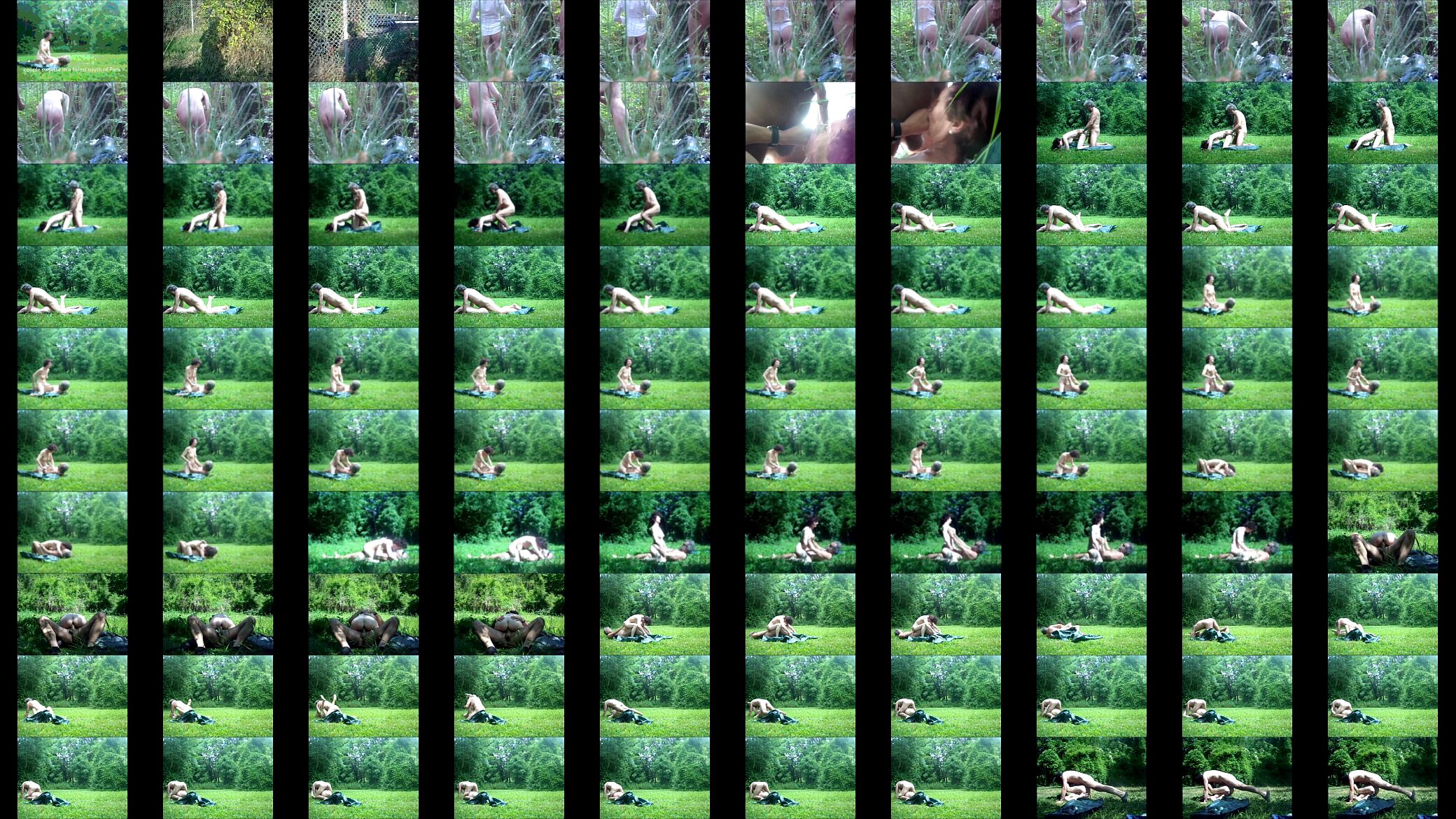 FOREST PARIS 预览图