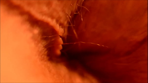 my anus want your dick closeup