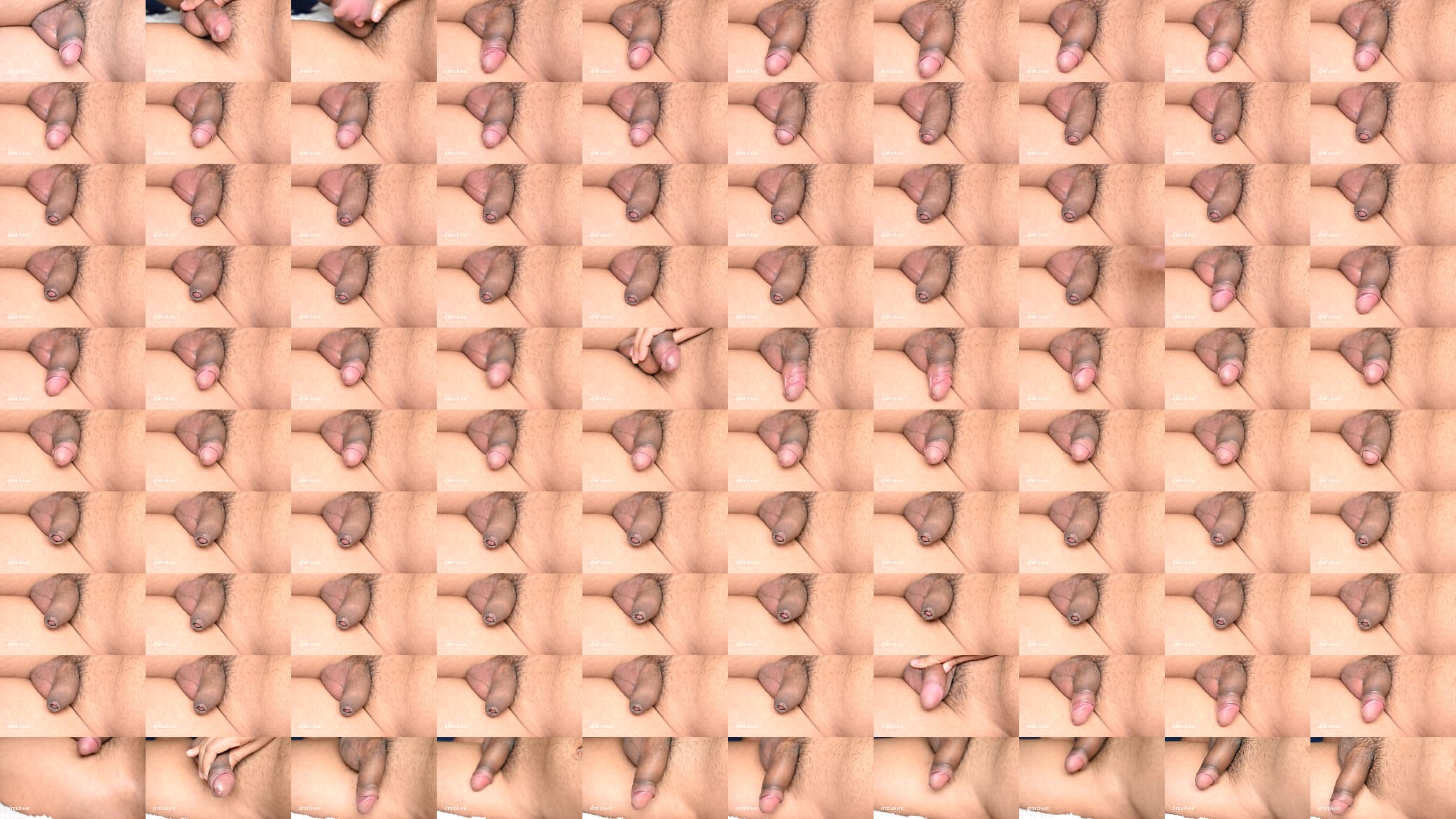 A very rich and soft cock 预览图