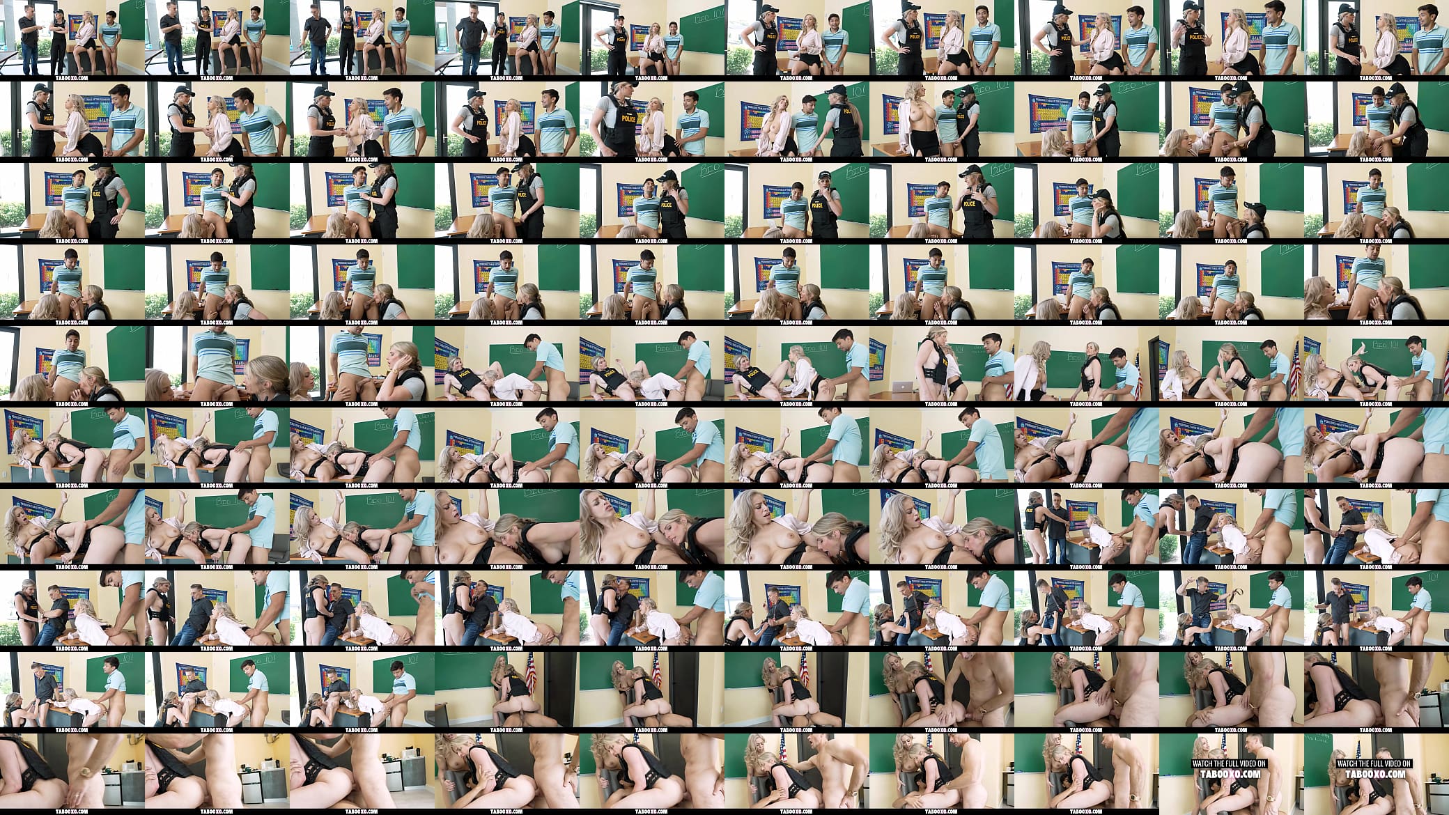 Lory Lace And Cory Chase in Anal Sex Teacher 预览图