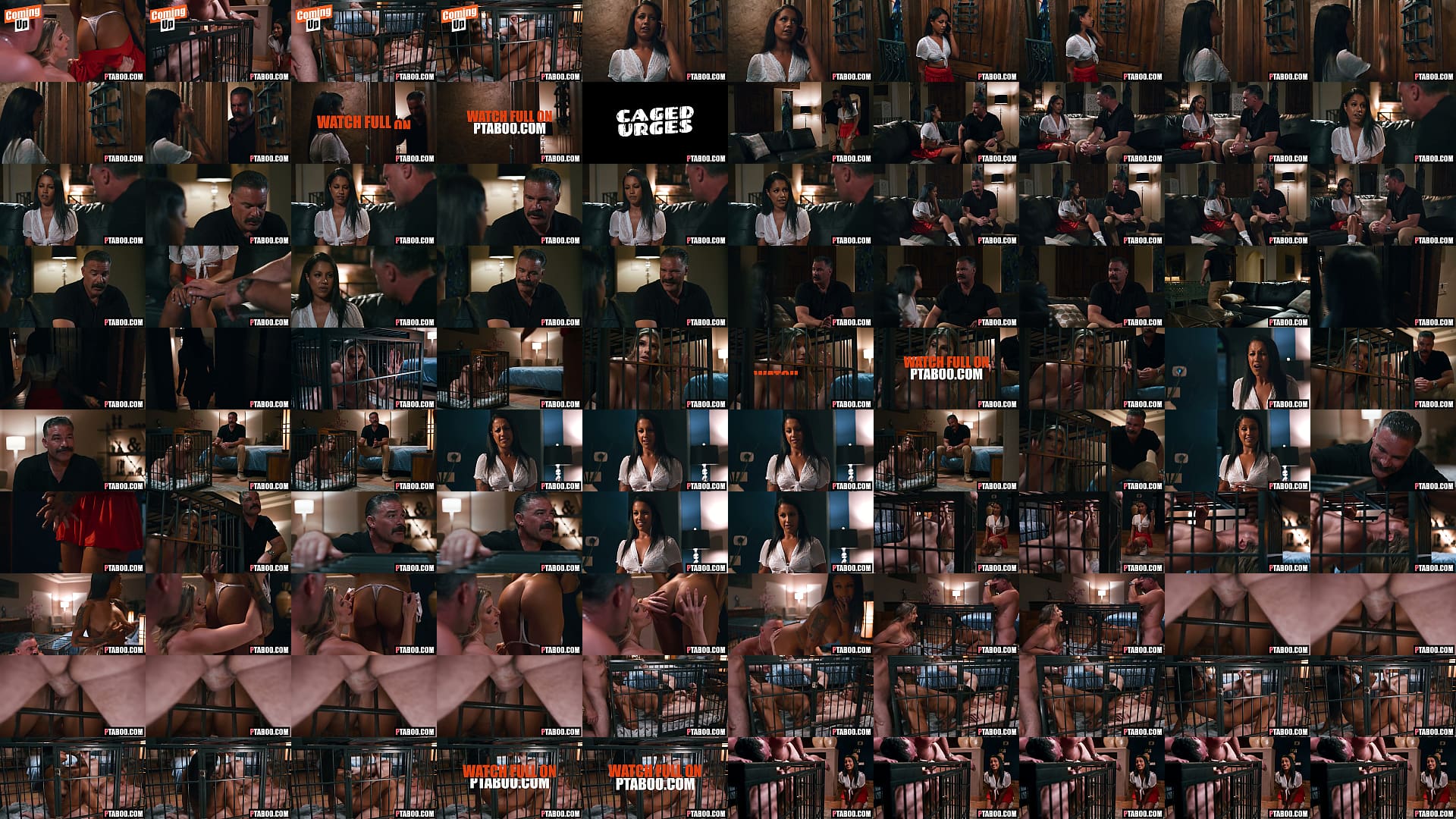 WTF Weird Cage Threesome Fantasy Charles Dera, Cory Chase, Nina White 预览图
