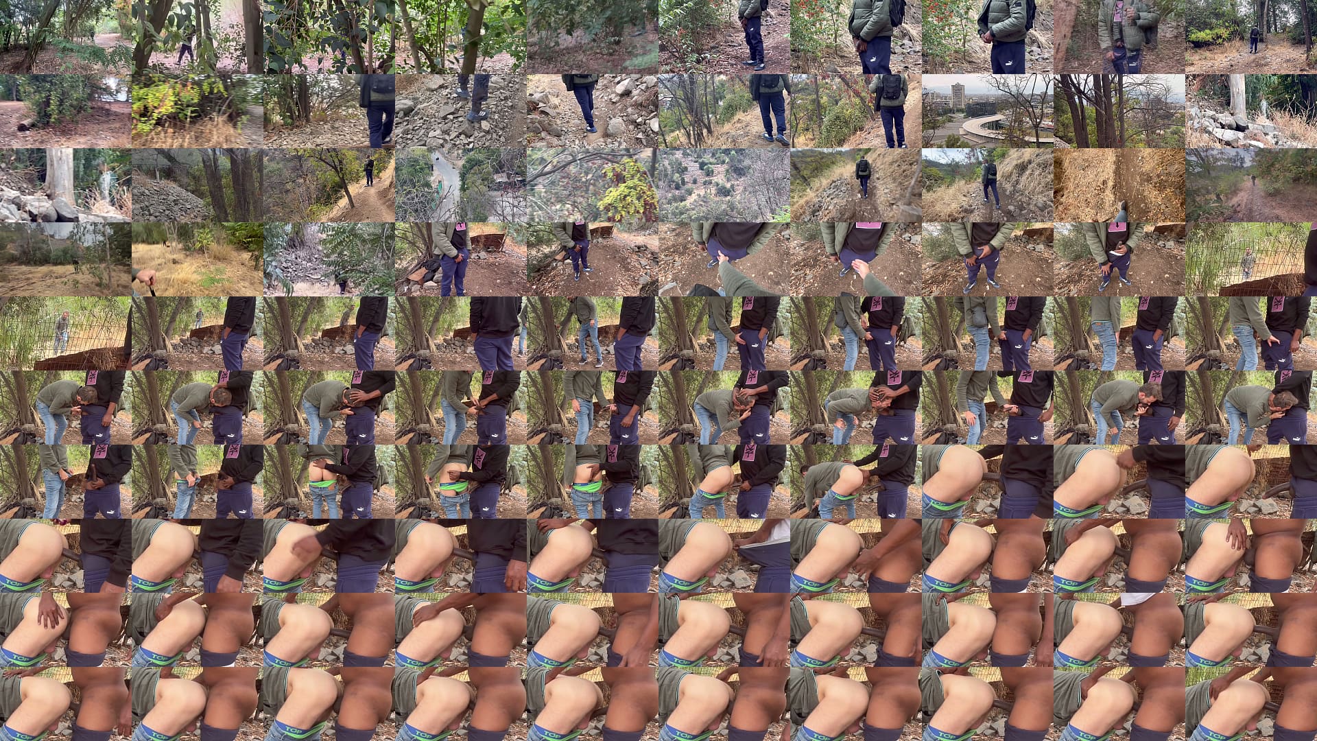 Monstercock aire libre 预览图