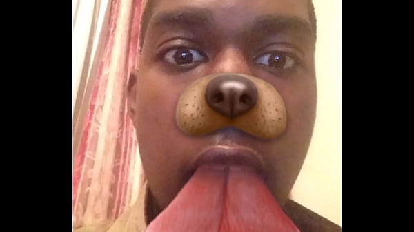 Dog face 5 sec