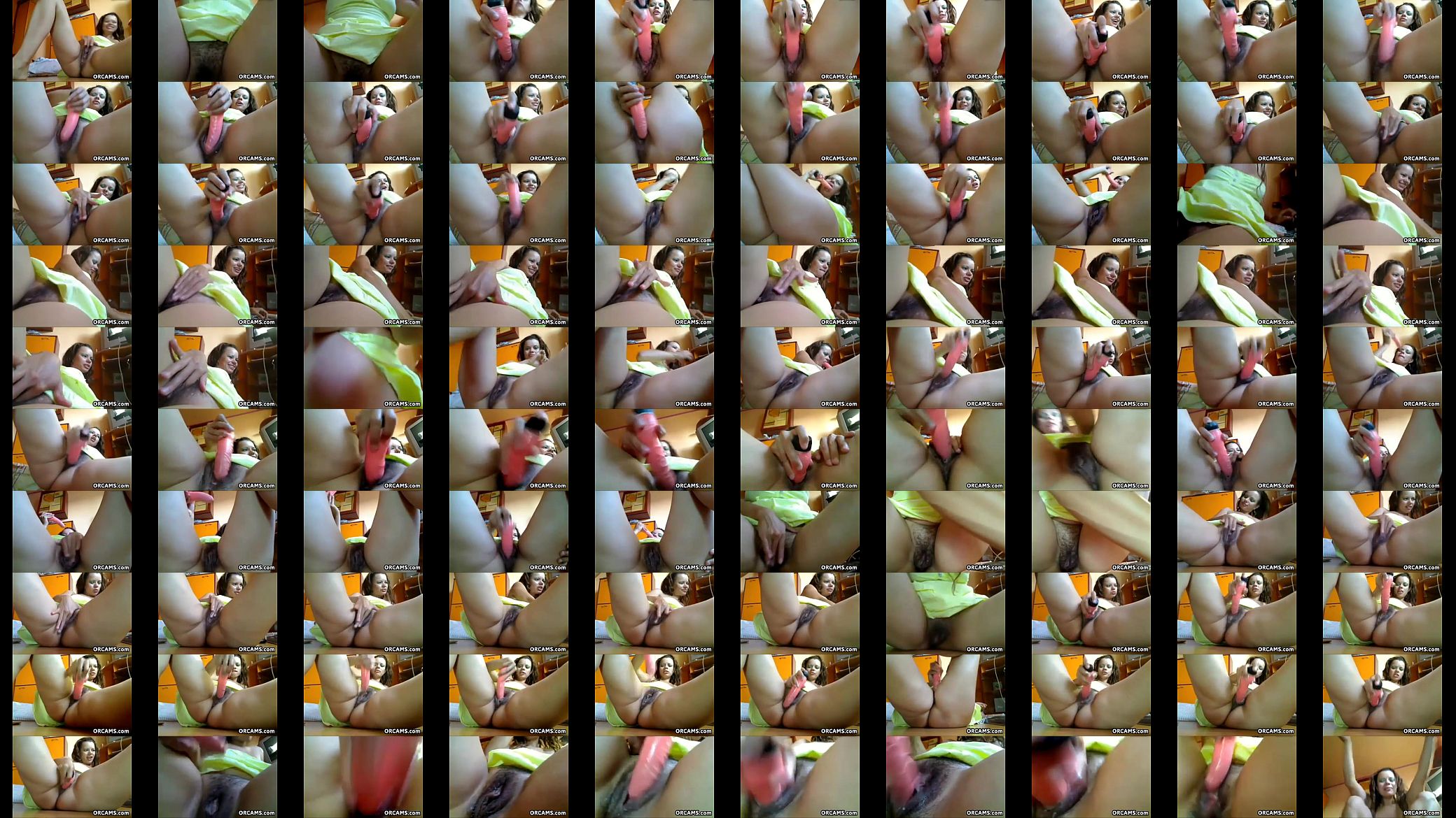 Hairy Cam Girl Masturbates 预览图