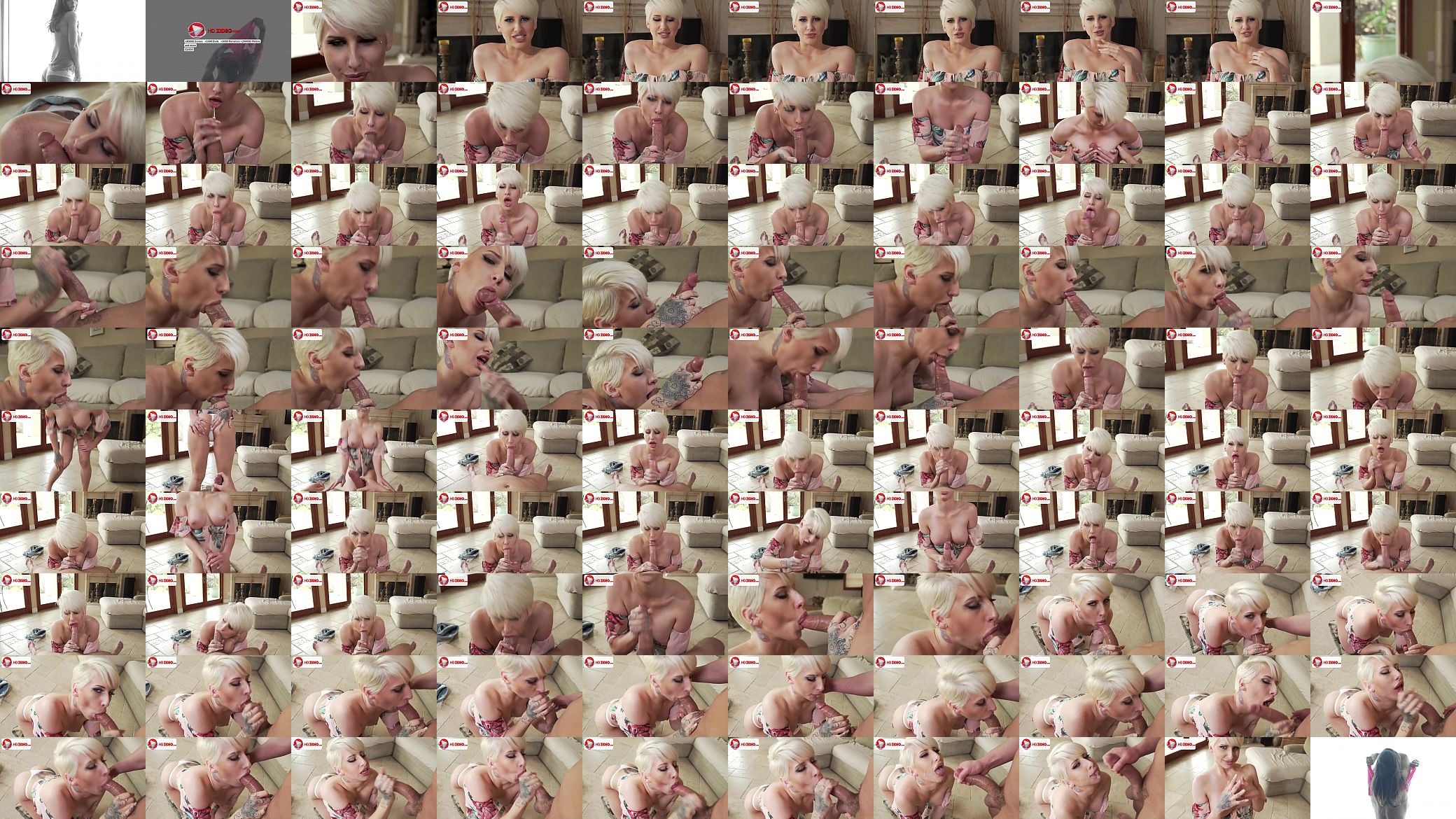 Dylan Phoenix Blowjob 预览图