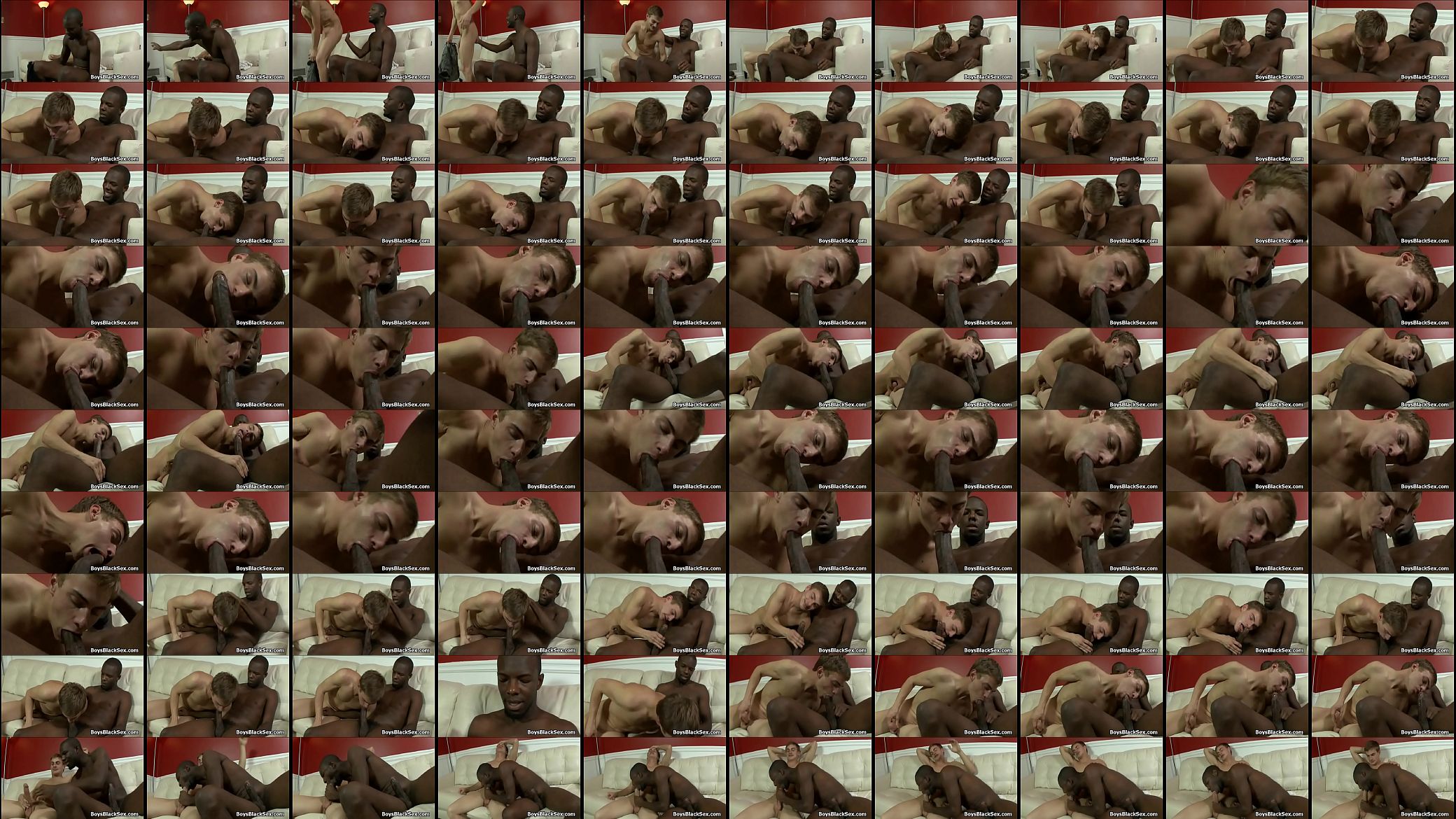 Blacks On Boys - Gay Interracial Nasty Fuck Video 03 预览图
