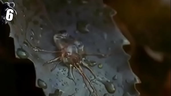 30 flipping curiosities of Spiderman 3 (Jwulen)