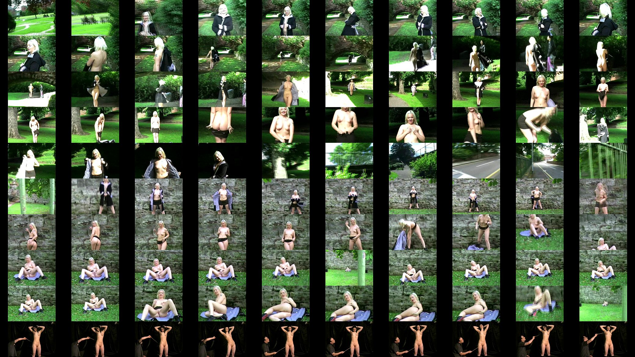 Blonde Teen Flashing 预览图