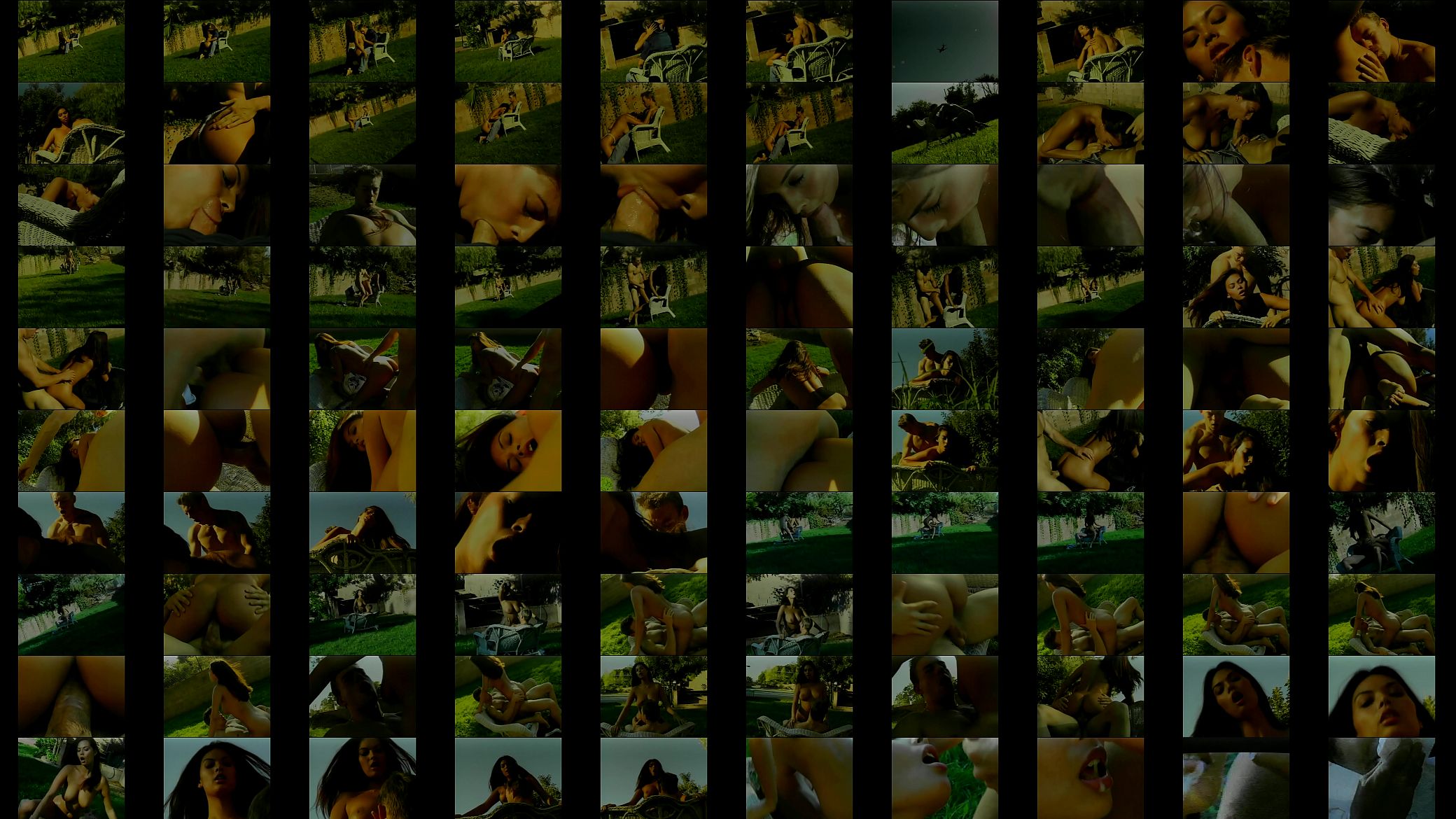 Massive prick pounds eastern beauty Tera Patrick doggy-style 预览图